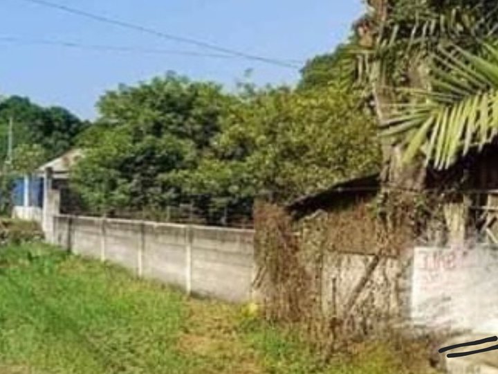 Commercial/ industrial Lot for sale in Panabo city, Davao del Norte