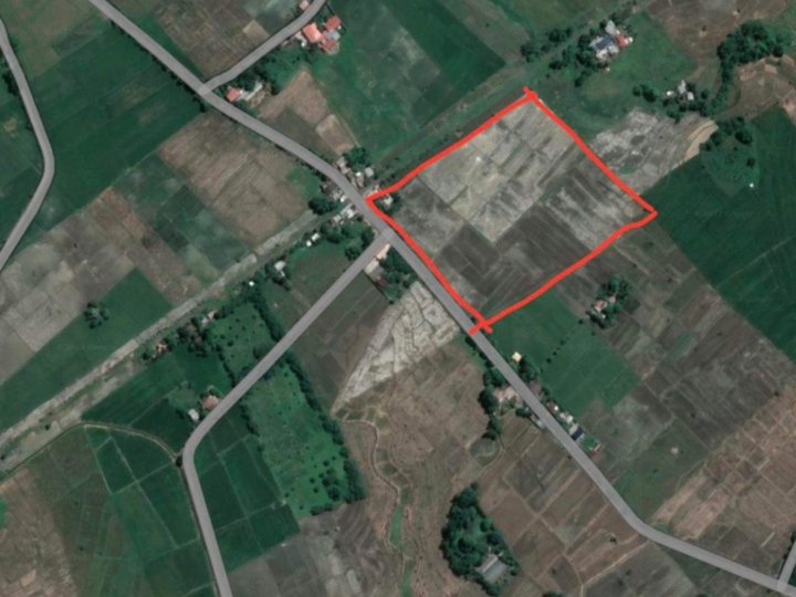30952 Raw Land Active Rice Land in Lucena City 550/Sqm only