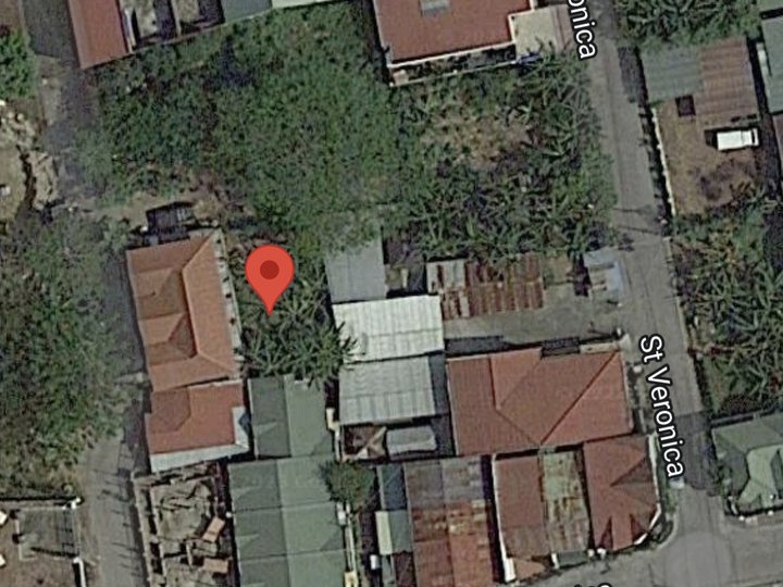 168 sqm Residential Lot For Sale in Nursery Poblacion 2 Bauan Batangas