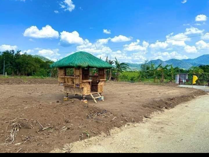 FARMLOT START AT 736 SQM PRICE START IN 1800 PER SQM ALL IN NA PRICE