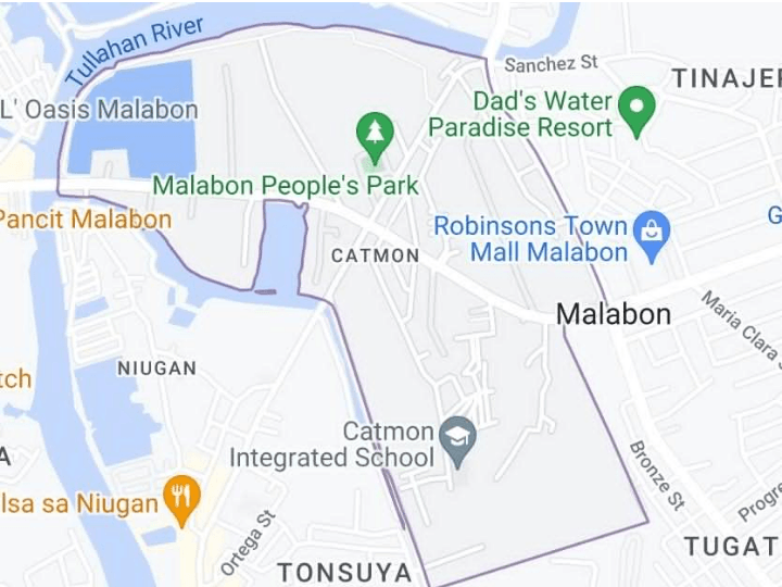For Sale 3 hectares Catmon Malabon lot