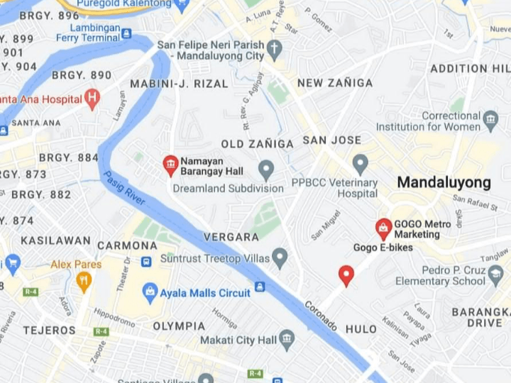 Lot For Sale 4,844sqm namayan, Goho Mandaluyong