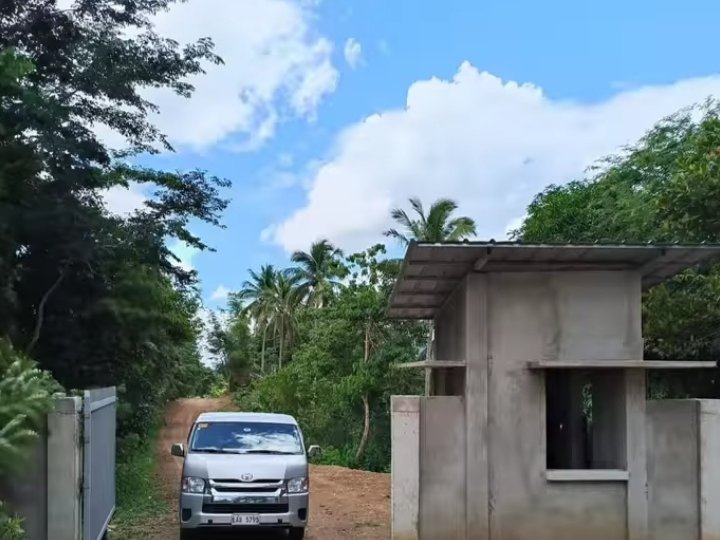 500sqm Farm Lot and 80 SQM Residential Lot for sale in Pililla Rizal