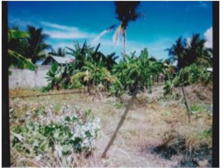 500 sqm Residential Lot For Sale in Roxas City Capiz