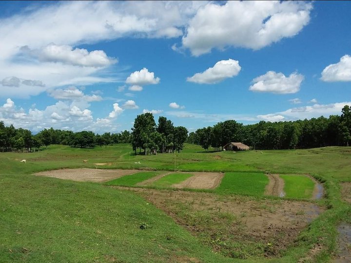 8 Hectates Farm Lot at Brgy. Balacag, Pozorrubio, Pangasinan