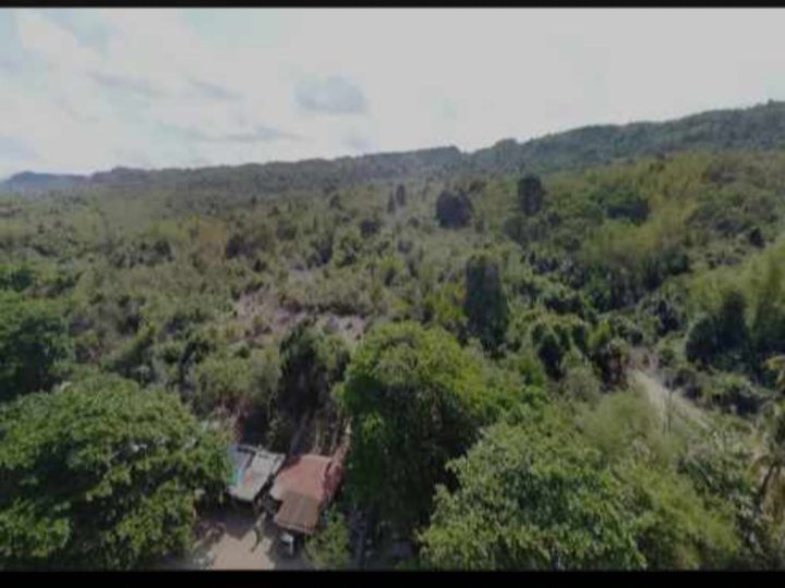 2 hectares Beach front for sale For Sale in Agno Pangasinan