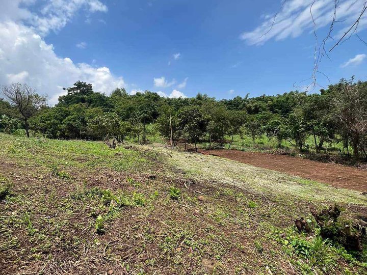 Discounted 100 sqm Residential Farm For Sale in Morong Rizal