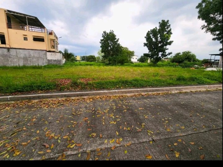 142 sqm prime lot for sale in Rio De Oro Php 12,800/sqm RUSH SALE  Cash Buyer only