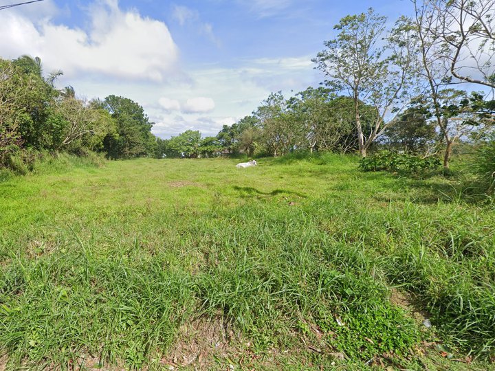 For Sale: Residential Lot in Cavite