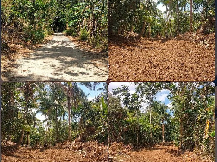 600 sqm Agricultural Farm For Sale in Alfonso Cavite