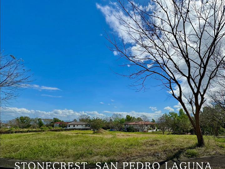 631 sqm Residential Lot For Sale in San Pedro Laguna