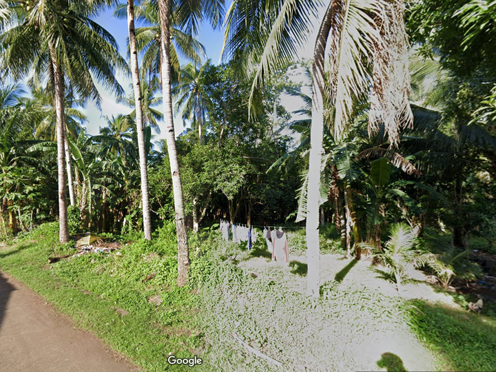 1,168 sqm Lot For Sale in Guinsiliban Camiguin