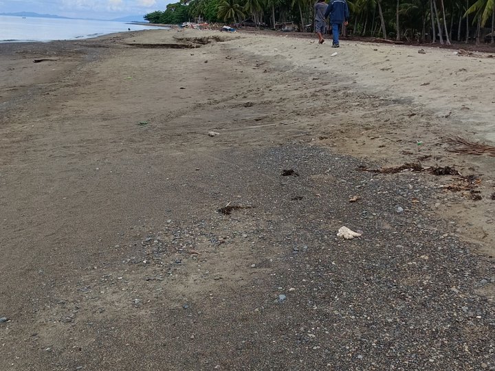 Beach front forsale rights po Barangay sologon Brookes point Palawan