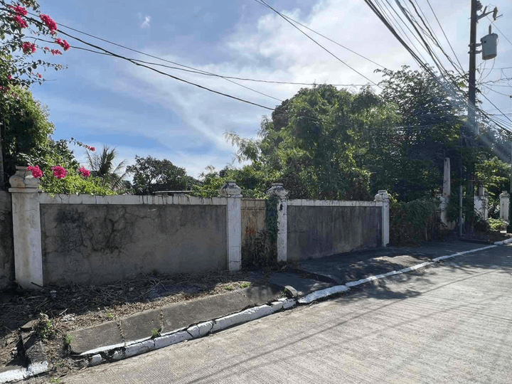 Residential Vacant Lot For Sale in Sucat Paranaque Metro Manila