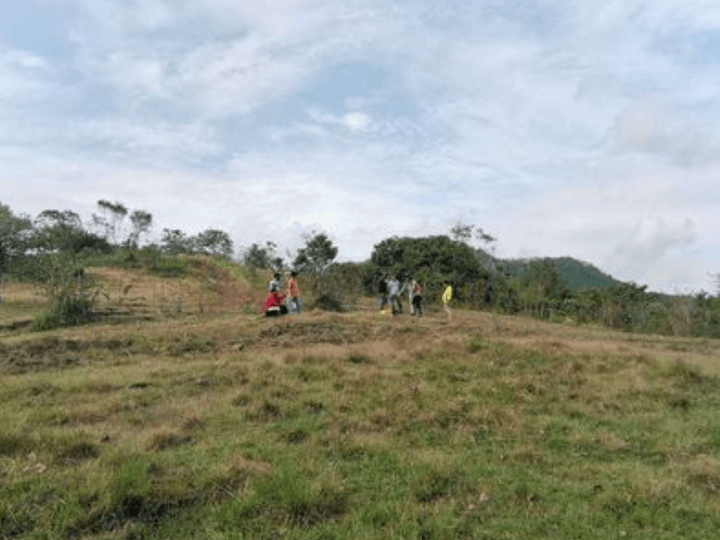 7.08 hectares Agricultural Farm in Trinidad Bulacan For Sale