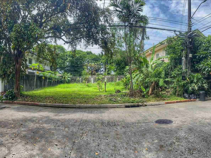 425 SQM Residential Vacant Lot for Sale in Valle Verde 6, Pasig City