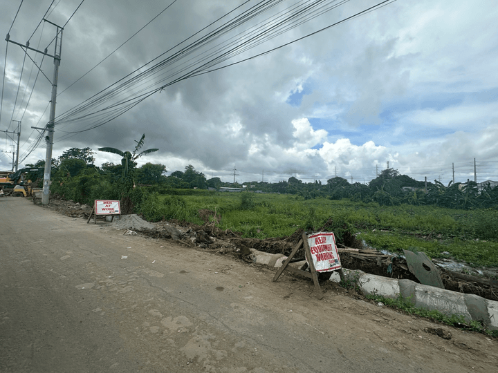 9,000 sqm Agricultural Lot For Sale in Dasmarinas, Cavite