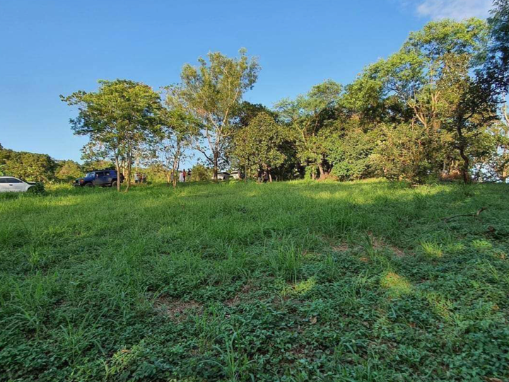 2,691 sqm Residential Vacant Lot for Sale in Valley Golf, Antipolo, Rizal