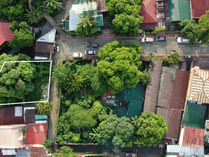 Vacant Lot For Sale Near Tandang Sora Ave.