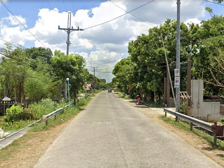 1,000 sqm Farm Lot For Sale with Clean Title in Amara's Farm in Alfonso, Cavite