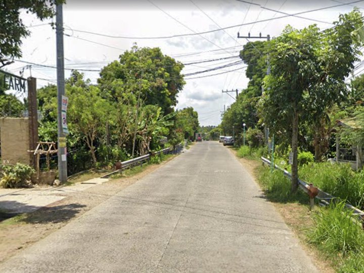 Agricultural Farm lot for Sale in Alfonso, Cavite at Amara's Farm