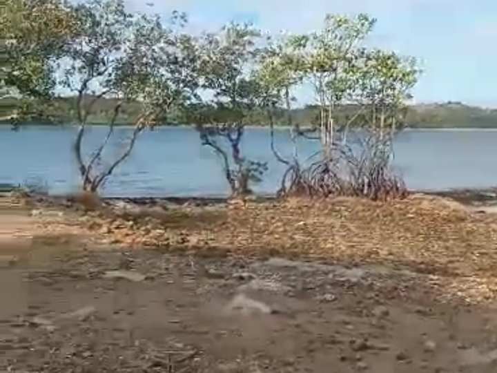 1.2 hectares Beach Property For Sale in Sual Pangasinan