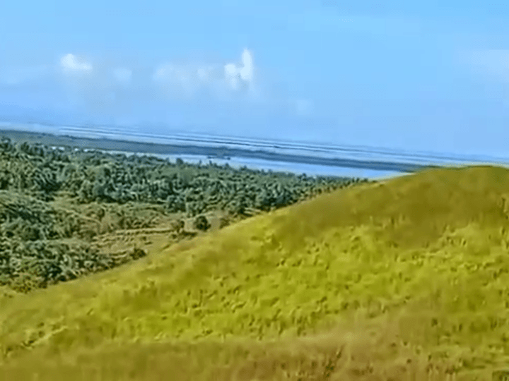 7 hectares Overlooking Farmland For Sale in Talibon Bohol