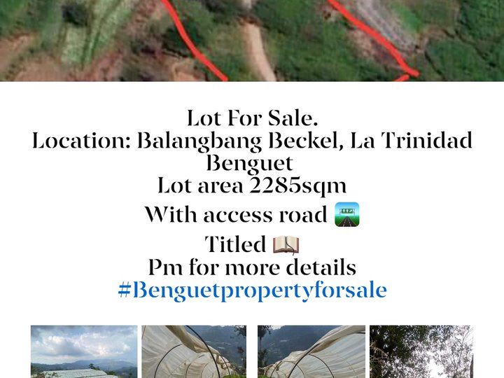 2,285 sqm Residential Farm For Sale in La Trinidad Benguet