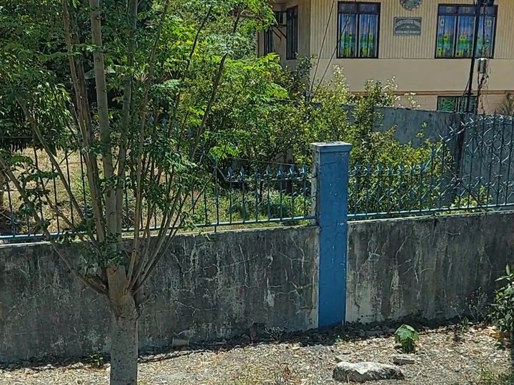 942 sqm Residential Lot For Sale in San Carlos Pangasinan