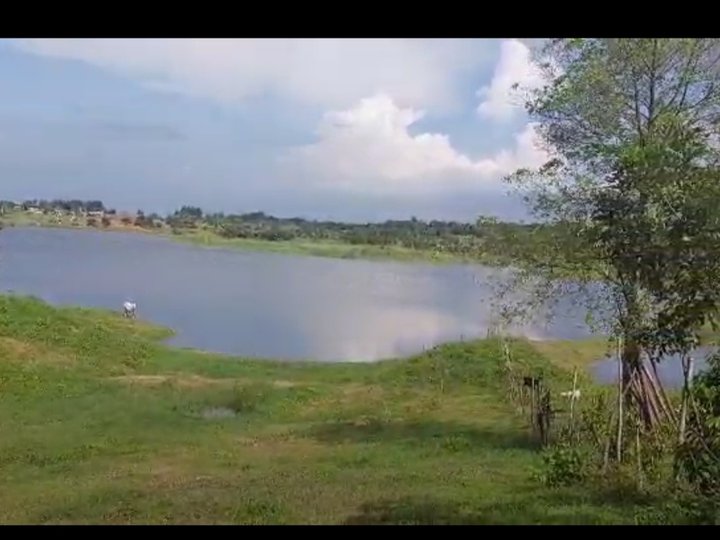 2-10 has agricultural farm with lake for sale in umingan pangasinan