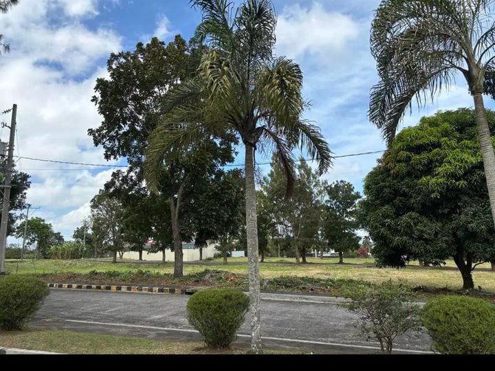Lot for Sale in Royale Tagaytay Estate Alfonso Cavite  P3.2M