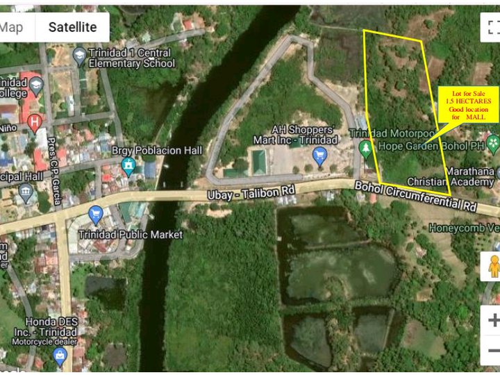 1.5 hectare lot for sale in Trinidad, Bohol