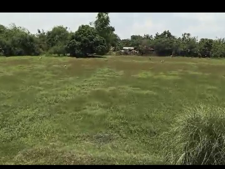 1 hectare Raw Land For Sale in San Fabian Pangasinan