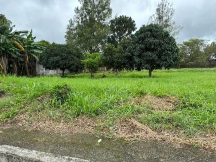 300 sqm Residential Lot for Sale in Royal Tagaytay Estates