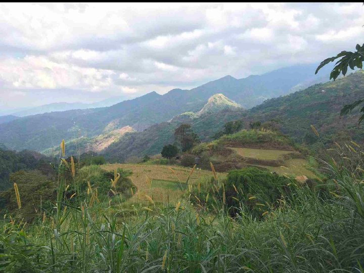 FOR SALE 13.33 HECTARES AGRICULTURAL FARM IN CAMP 1, TABAAN SUR, TUBA, BENGUET