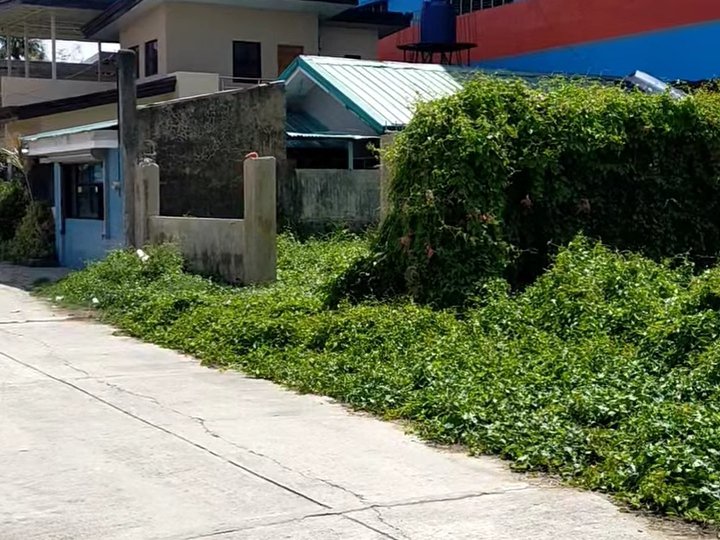 Residential Lot Near Highway For Sale In Naga Cebu