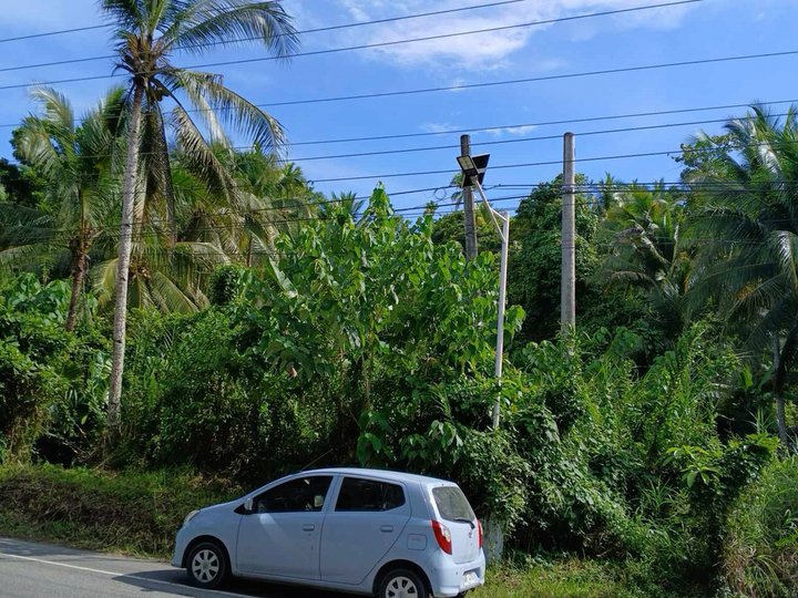 1,987 sqm Along Provincial Highway Located at Basey Samar near Tacloban City. Clean Title.