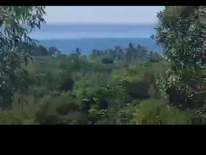 279 hectares fir sale 300/sqm for solar project. Resort business with soreline ocean  view