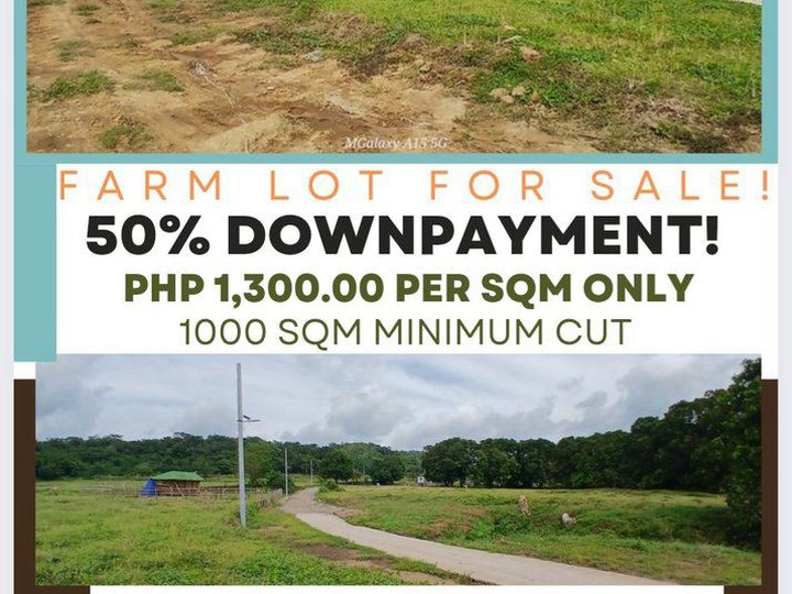 1000 sqm Agricultural Farm For Sale in Nasugbu Batangas