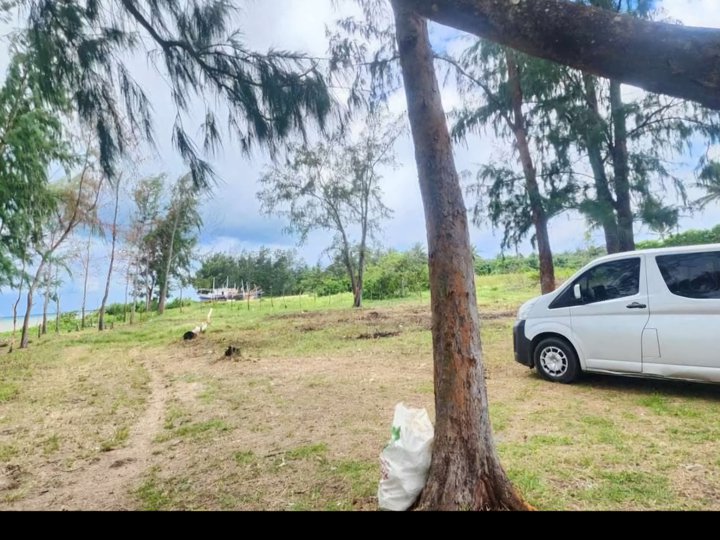 Beach lot in INFANTA QUEZON