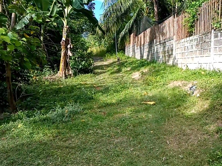 995 sqm Residential Lot For Sale in Iligan Lanao Del Norte