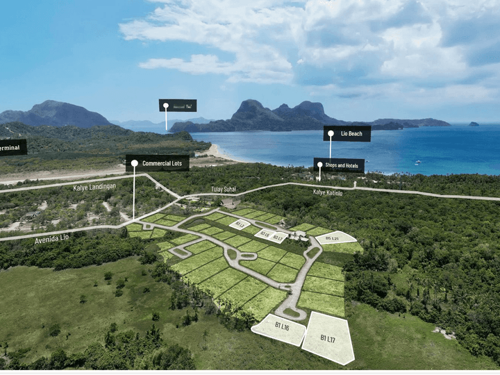 Commercial Beach lot For Sale in El Nido ,Palawan