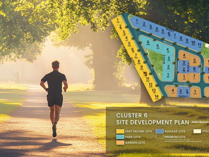 250 sqm Premium Residential Lot For Sale in Rockwell South, Calamba Laguna