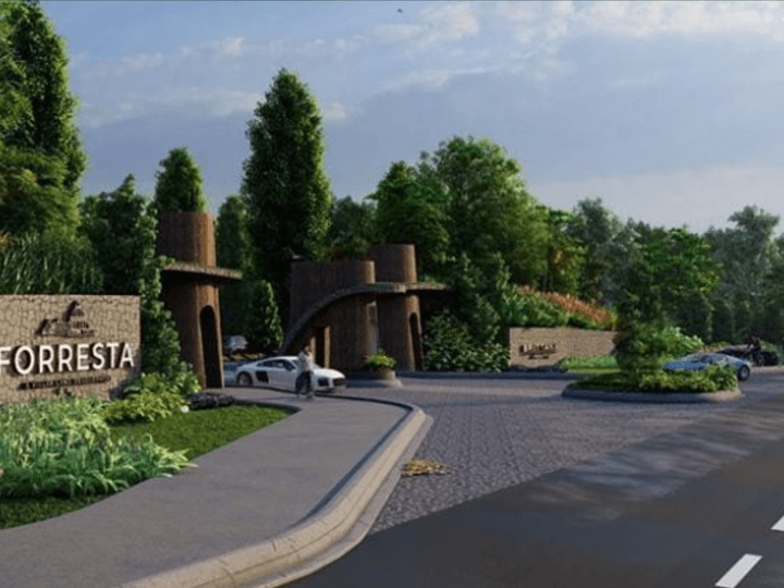 871 sqm Premium Residential Lot For Sale in Las Pinas