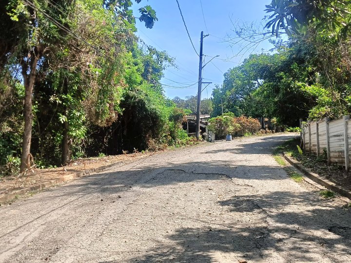 LOT ONLY AT THE CENTER OF ANTIPOLO CITY