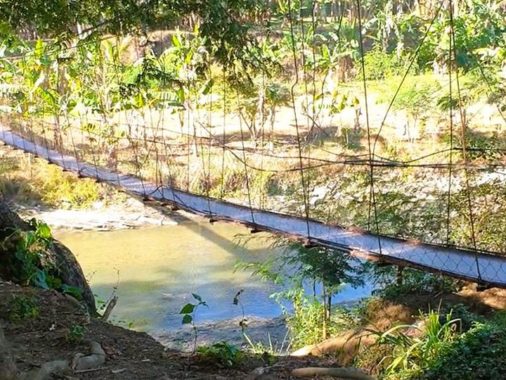 Riverside Farm Lot in Tubungan, Iloilo 4,232 sqm