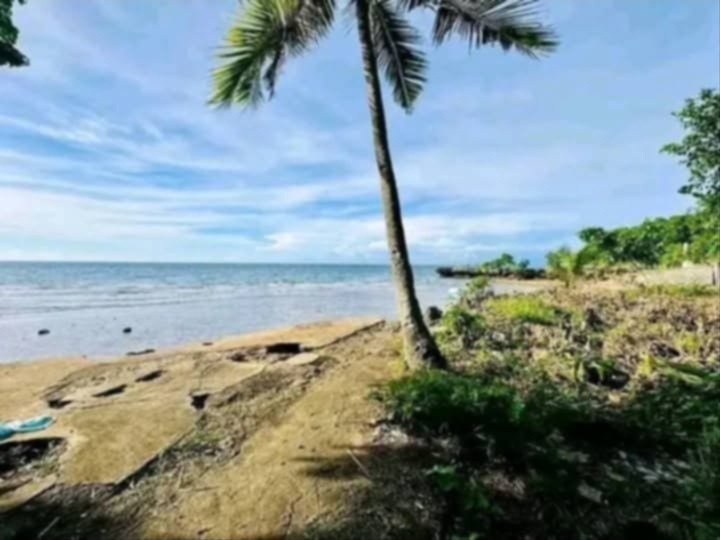 1,700 sqm Beach Property For Sale in Poro Cebu