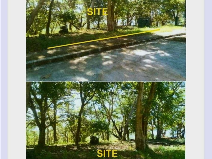 Terrazas De Punta Fuego in Nasugbu Batangas Forest Cove Natipuan Cove Munting Buhangin Beach Camp
