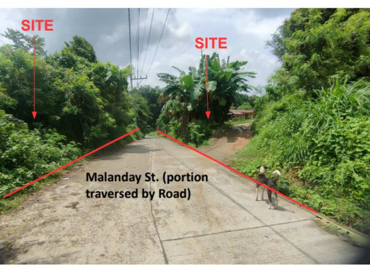 Foreclosed 1.49 hectares Residential Farm For Sale in Angat Bulacan