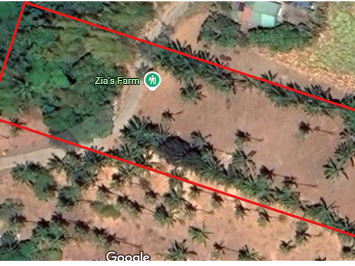 Calaca Farm for Sale 1.3HA